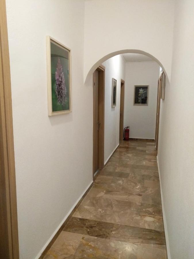 Calypso Apartment Agia Roumeli Exterior foto